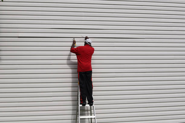 Best Aluminum Siding Installation  in Glenwood Springs, CO
