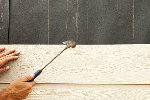 Best Stone Veneer Siding  in Glenwood Springs, CO